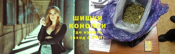 винт Няндома