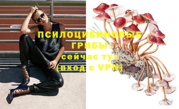 винт Няндома