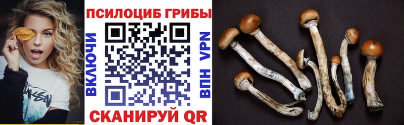 Псилоцибиновые грибы ЛСД  где купить наркотик  Лянтор 