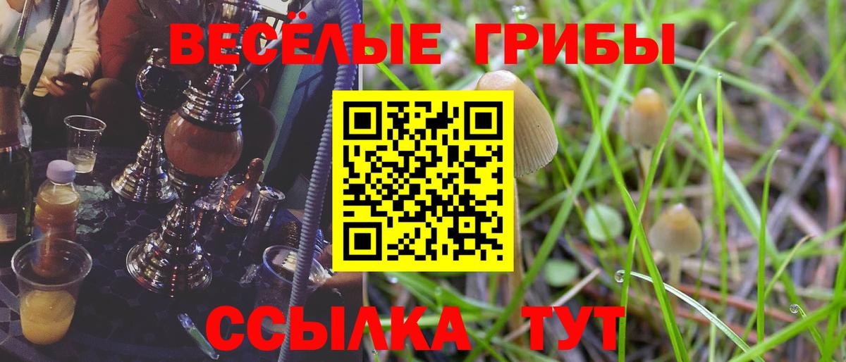 Лянтор  Галлюциногенные грибы мухоморы  Псилоцибиновые грибы прущие грибы  Вход с VPN 